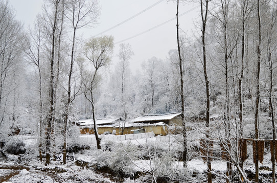 大凉山彝乡雪景