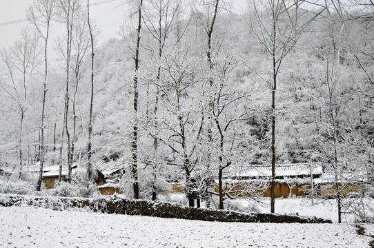 大凉山彝乡雪景