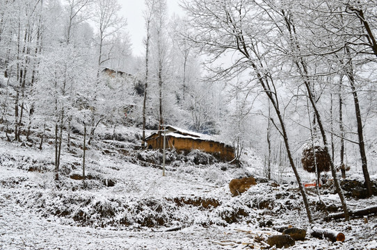 大凉山 彝族乡村 雪景