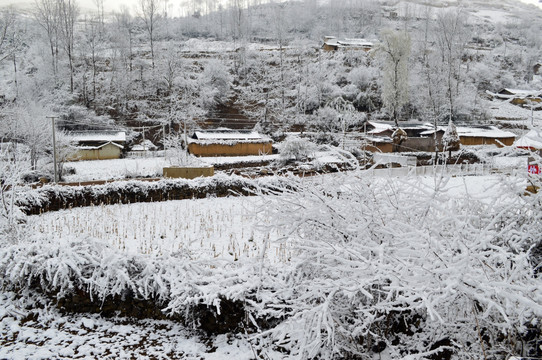 大凉山 彝族乡村 雪景