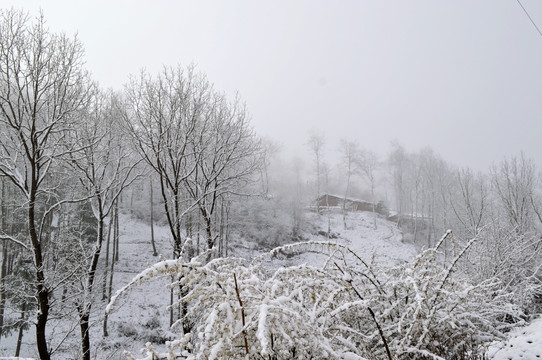 大凉山彝族村庄雪景