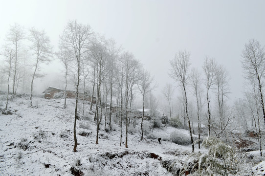 大凉山彝族村庄雪景