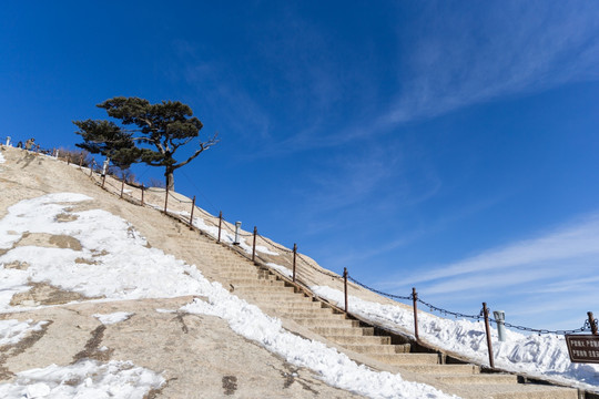 华山东峰 蓝天 登山道 迎客松