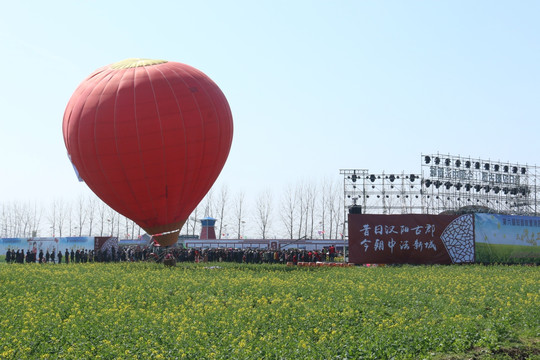 消泗油菜花