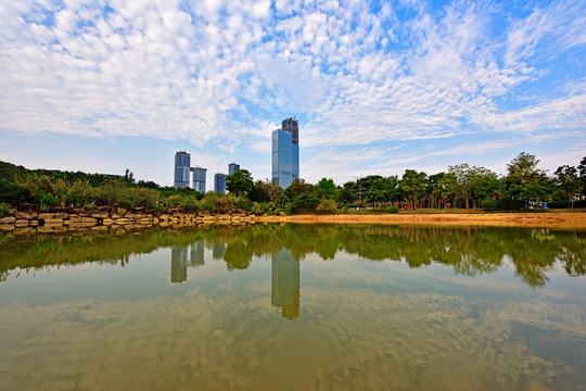 深圳莲花山漾日湖