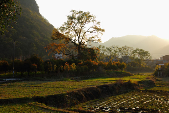 田园灵田