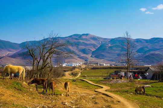 山路 丘陵