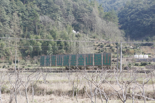 绿水青山就是金山银山