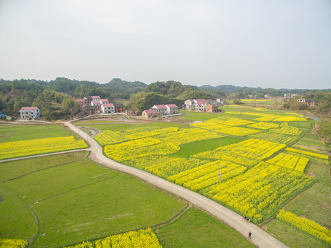 乡村风光