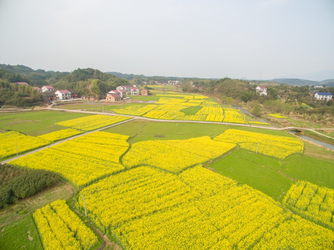 乡村风光