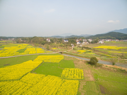 乡村风光