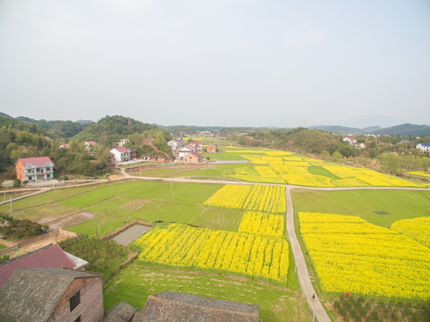 乡村风光