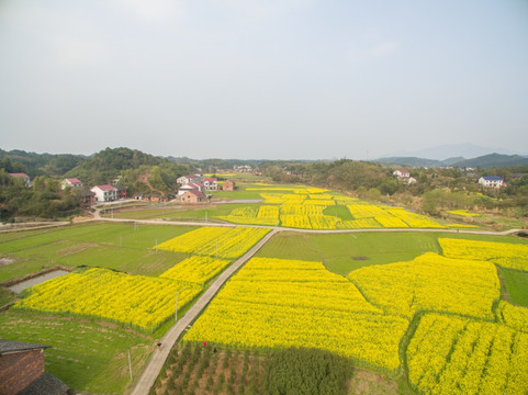 乡村风光