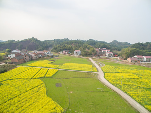 田园风光