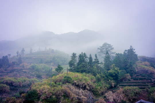 塔下村风光