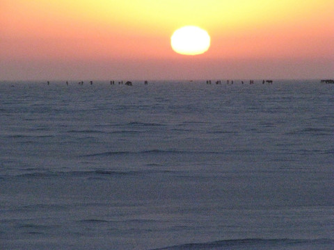 查干湖冰面太阳