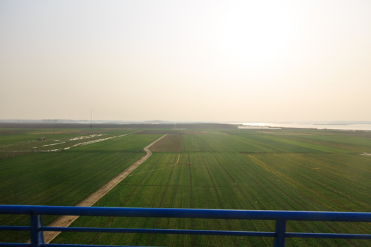 平原 田野