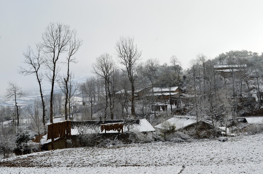 大凉山 彝族村落 雪景