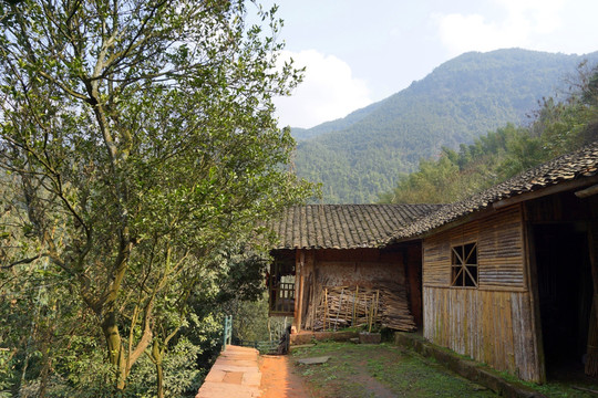 贵州山区 乡村庭院 农家房屋