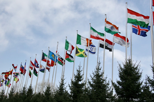 国际活动多国旗帜
