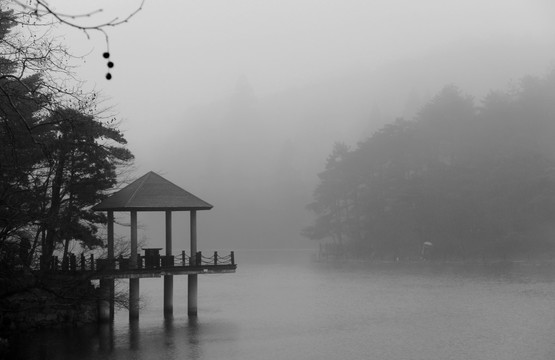 如琴湖風景