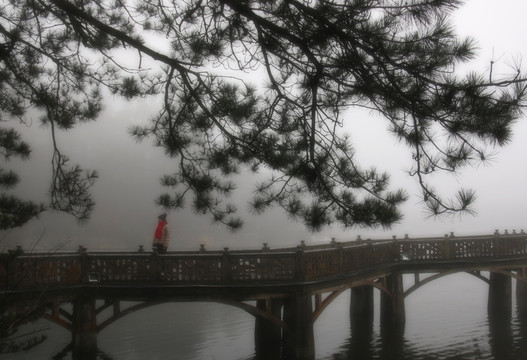 如琴湖风景