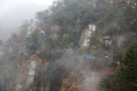 錦繡谷風景