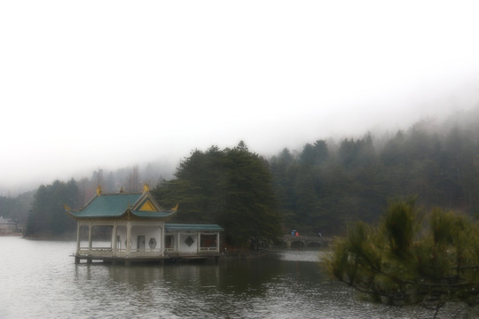 如琴湖风景