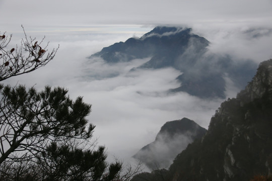 五老峰风景