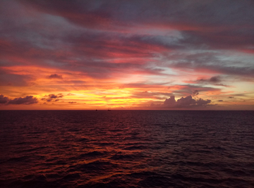 海南夕阳红