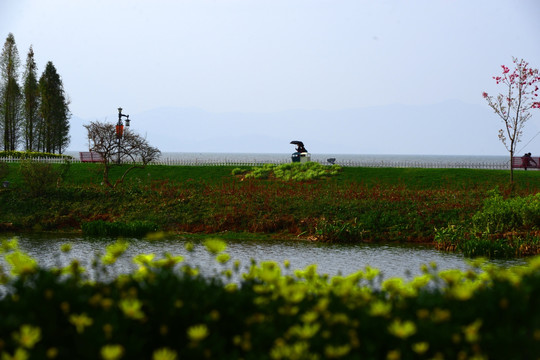 滇池湿地