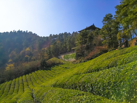 敬亭山 宣城