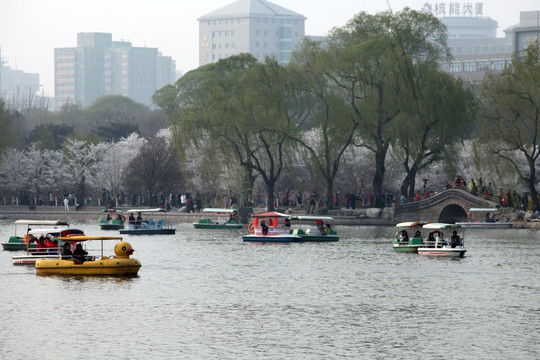 北京玉渊潭