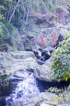 山泉 溪流