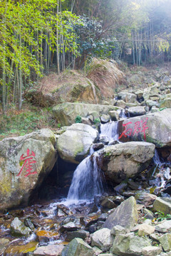 山泉 溪流