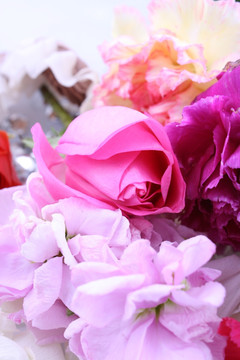 玫瑰花紫罗兰