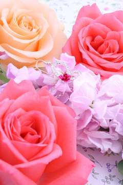玫瑰花紫罗兰