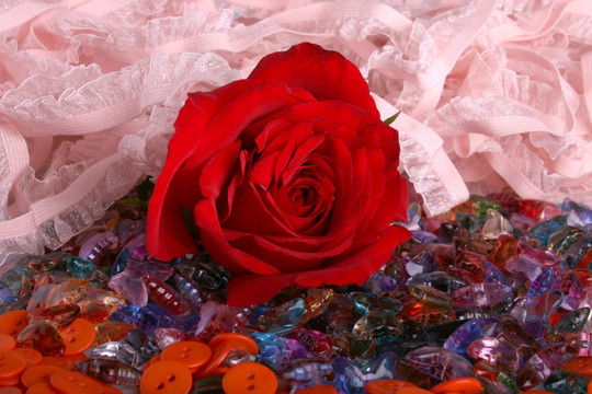 红玫瑰 饰品 钻石
