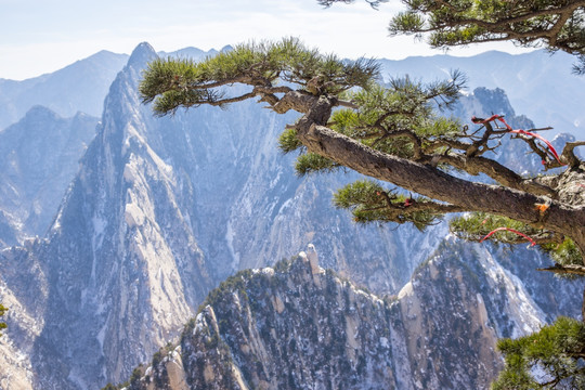 西岳华山 解构华山