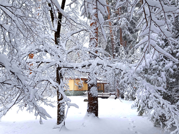 雪中木屋