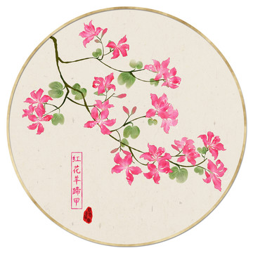 紅花羊蹄甲