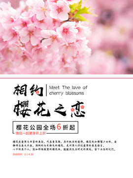 相約櫻花之戀唯美小清新海報(bào)設(shè)計(jì)