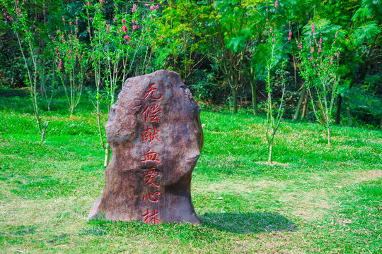 无偿献血爱心景观石头