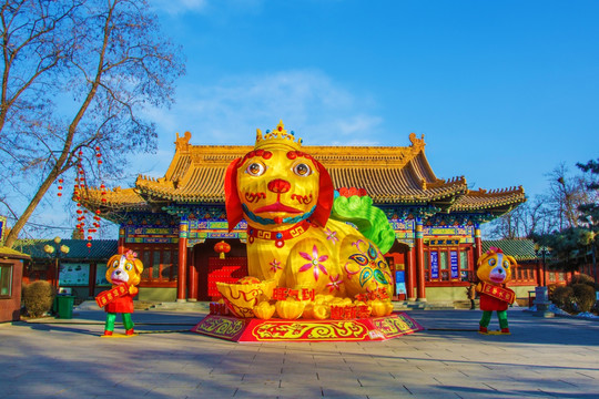 鞍山玉佛寺灯展生肖狗日景