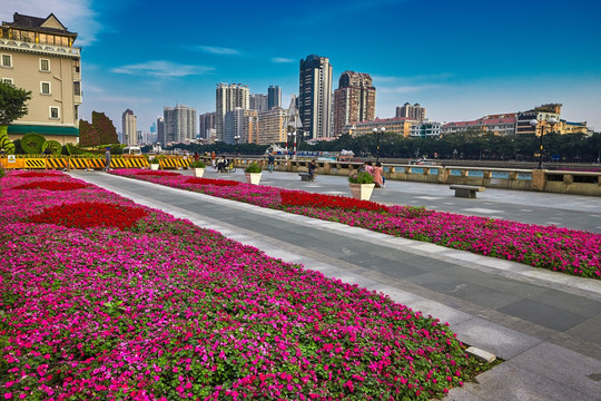 沙面沙基花地