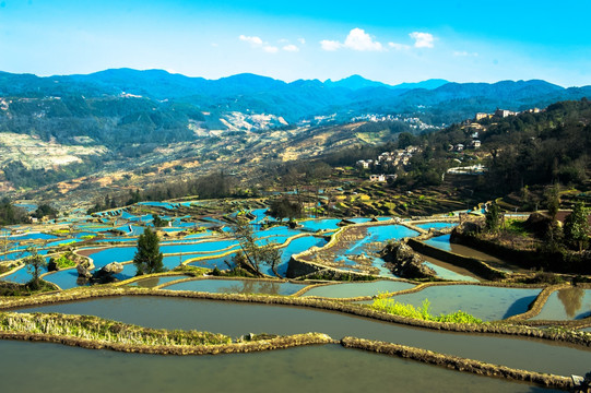 元阳梯田 大地调色板