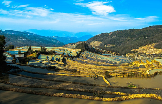 元阳梯田 大地调色板