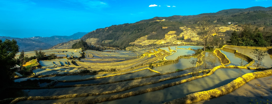 元阳梯田 大地调色板