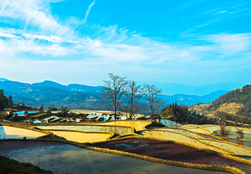 元阳梯田 大地调色板