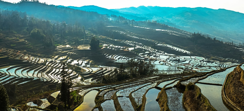 元阳梯田 大地调色板